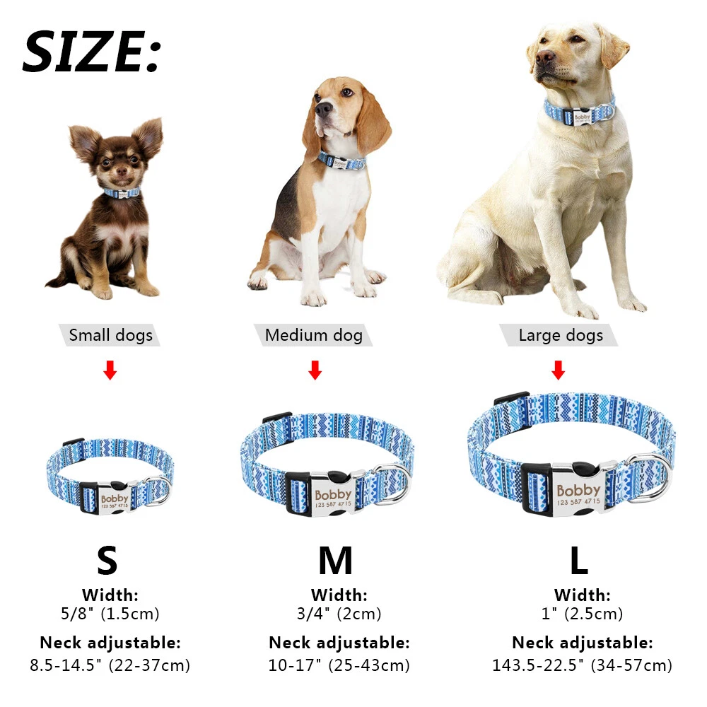 Medium collar top size dog