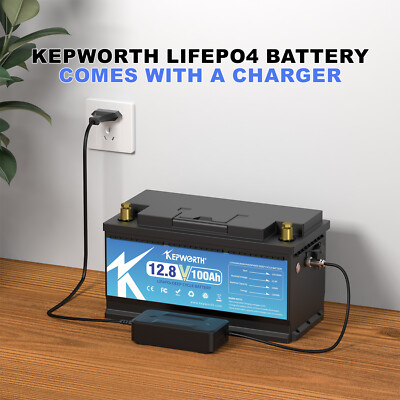 12V 100Ah Lithium Batterie LiFePO4 8000 Zyklen Wohnwage BMS 10 Jahre Lebensdauer