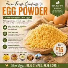 Freeze Dried Egg Powder 