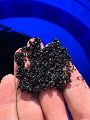 #ad Black Aquarium Sand Substrate Crystal 10lbs 20lbs 30lbs Fish Shrimp $58.99