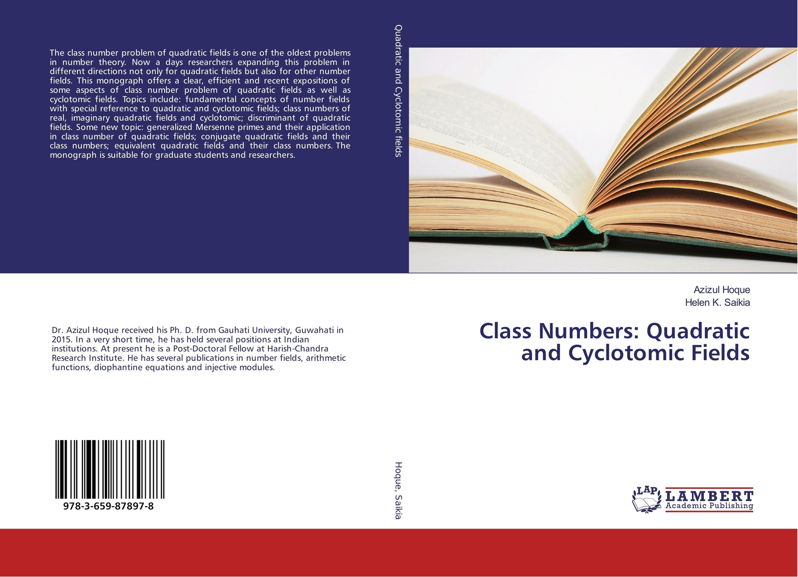 Thumbnail - Class Numbers: Quadratic And Cyclotomic Fields | Azizul Hoque (u. A.)