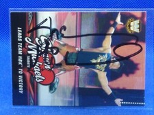 2018 Topps Legends of WWE Wrestling Cards 8