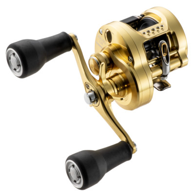 SHIMANO CALCUTTA ゴールド リール Amazon | シマノ カルカッタ Bラウンドリール ゴールド | シマノ