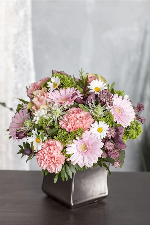 Leucanthemum vulgare, Margerite, weiß, ca. 9x9 cm Topf - Bild 2 von 4