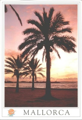 Mallorca Spanien Sonnenuntergang Palmen Marina Postkarte verschickt Cofiba 0,50  Briefmarke