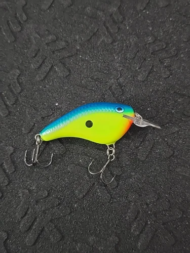 Rapala DT 7 Flat Shallow Crankbait Fishing Lures *