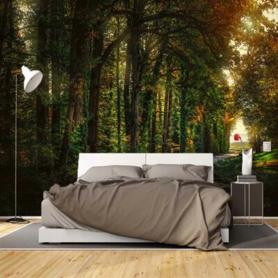 Describe Summit Sky 3D Full Wall Mural Photo Wallpaper Printing Home Kids Decor