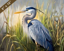 Great Blue Heron in the reeds oil painting 8x10 Print