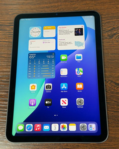 iPad Mini 6 256GB Wifi Cellular | eBay