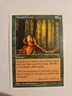 MTG Magic the Gathering Nature's Lore 316/460 Fifth Edition LP