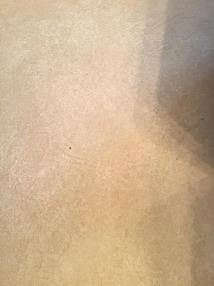 Nuevo de Lote Antiguo Chevrolet Corvair 1961-69 Válvula Balancín Ajustador Tuerca Lote de (3) OEM GM 465934 Foto 3 de 4