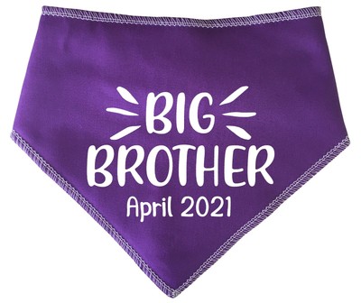 promoted to big brother dog bandana