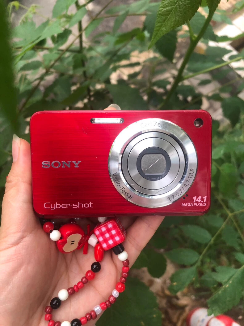 Sony DSC-W560 W560 14.1MP CCD Vintage Digital Camera 4x Optical