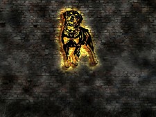 LED wall neon sign no glass Rottweiler dog sticker logo emblem book puppies sign