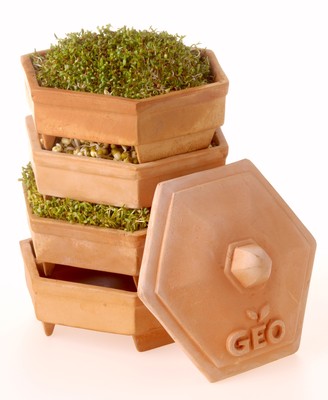 GEO Terrakotta Keim Starter Kit mit 3 kostenlosen Packungen Samen
