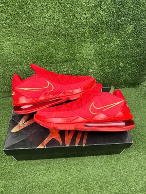 Size 11 - Titan x Nike LeBron 17 Low Agimat