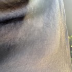 Foto 13 di 17
