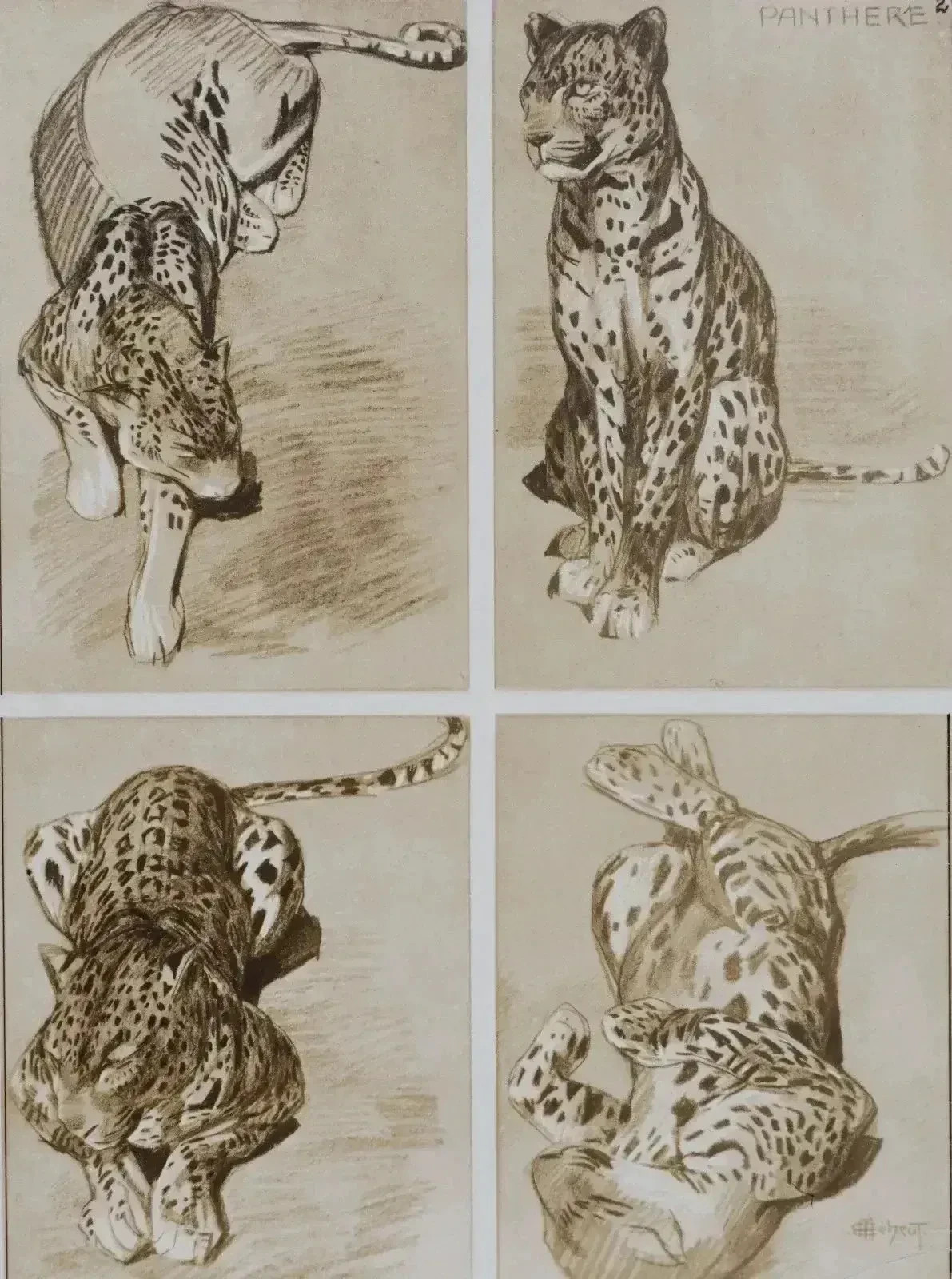 Mathurin Meheut: The Panther, Signed Lithograph, 1911