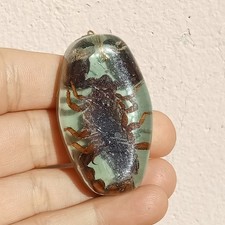 REAL SCORPION FOSSIL KEYCHAIN: PREHISTORIC INSECT IN AMBER RESIN PENDANTS
