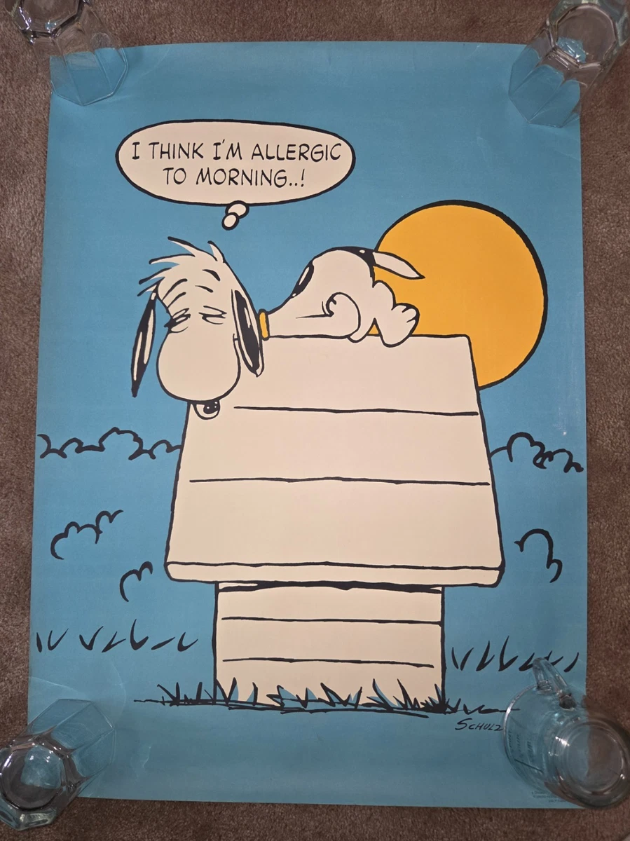 25+ Vintage Snoopy Poster In other Collectible Peanuts Items for