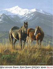 Wild Horses Horse 36x44" Panel cotton Quilt fabric Riley Blake PD15530 SMOKE