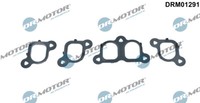 Dr. Motor Automotiv DRM01291 Dichtungssatz, AnsaugkrüMmer FüR VW