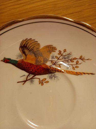 SHERIDAN PHEASANT BONE CHINA & HARLEIGH (STESSO DESIGN) DISPONIBILE SINGOLARMENTE - Foto 19 di 99