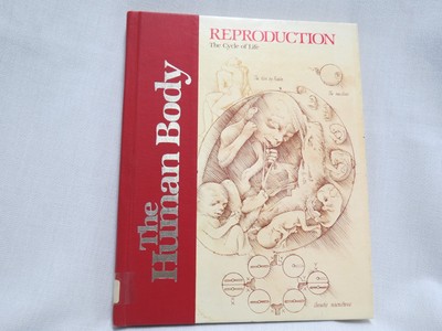 Reproduction: The cycle of life (The Human body)