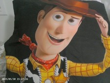 Neu Toy Story Woody 18 x 18 superweiches Dekokissen