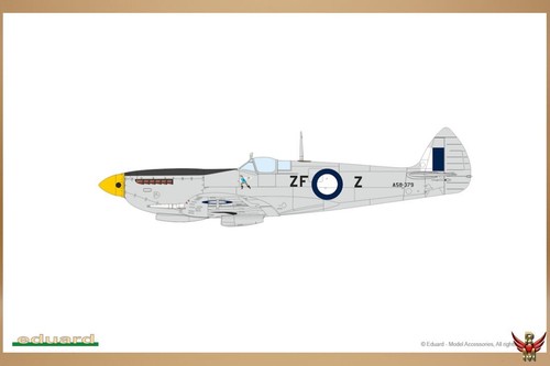 Eduard - 1/72 - 7462 - Spitfire Mk VIII Weekend Edition - Afbeelding 5 van 5