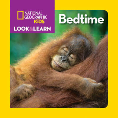 Look  Learn: Bedtime - Board book By Musgrave, Ruth A - GOOD