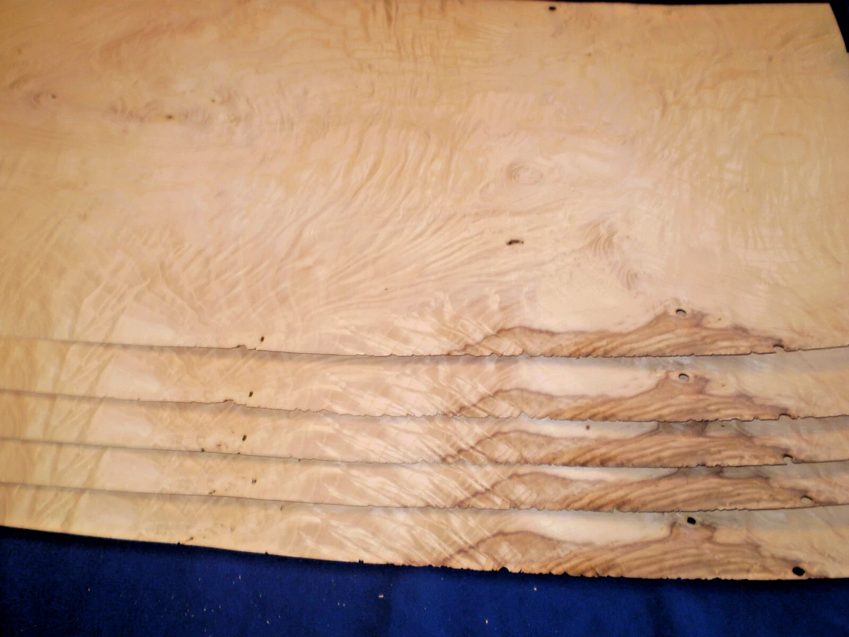Chapa racimo fresno 1050 x 350 mm 6 hojas nº 863