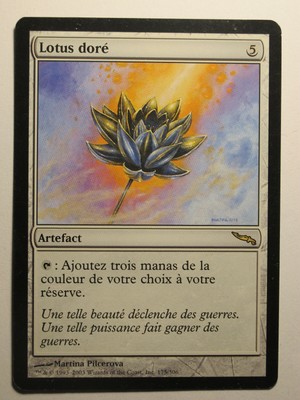 Плитка magic lotus