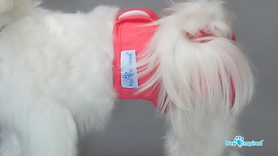 Paw Inspired Dog Diapers Female Washable Reusable Diapers for