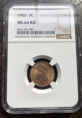 1902 Indian Head Cent Penny 1c NGC MS 64 RD FRESHLY GRADED SHARP COIN MS64RD