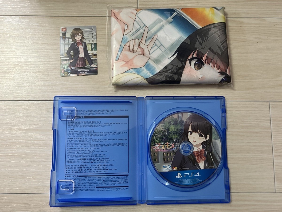 PS4 Fuyu Kiss Limited Edition Sony PlayStation 4 Entergram