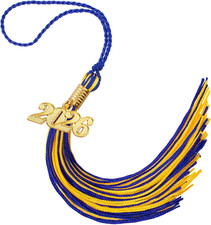 2026 Blue and Gold Graduation Tassel with Charms for Cap Decorations