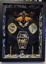 Death's Head Hawk Moth Framed Artwork