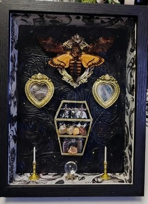 Death's Head Hawk Moth gerahmtes Kunstwerk
