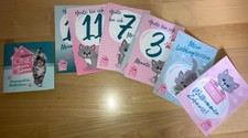 Kitten Katze Willkommen Zuhause Unvergessliche Meilensteine Willkommen Zuhause!