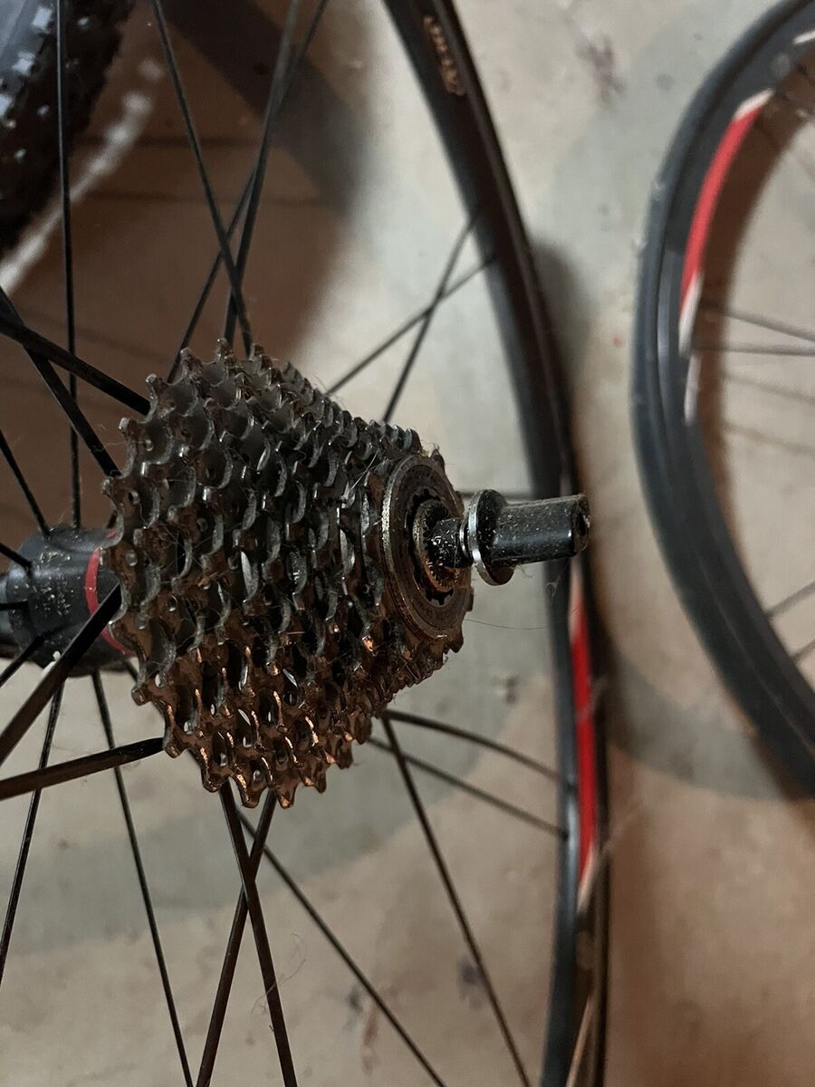 Carbon Bontrager Race Triple XXX Lite 10 Speed Wheel Set 28 Carbon Bontrager Race Triple XXX Lite 10 Speed Wheel Set 28