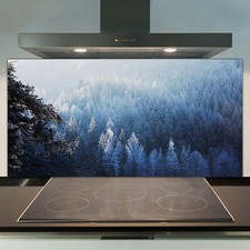 Glass Kitchen Splashback Tile Cooker Panel 100x50 Frozen Forest in Mountain
