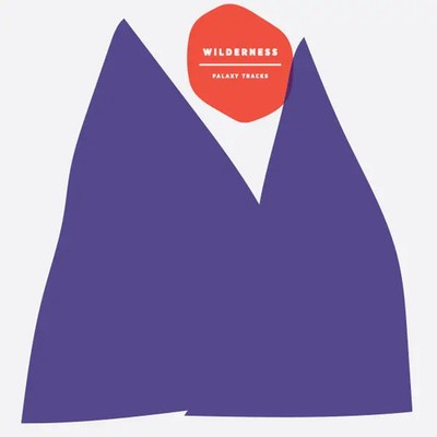 LP Palaxy Tracks Wilderness WHITE VINYL, 180G VINYL NEAR MINT Peek-A-Boo Rec