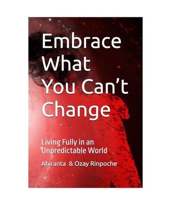 Embrace What You Can t Change: Living Fully in an Unpredictable World 
