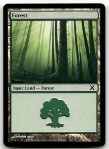 Forest (381) - 10th Edition Magic: The Gathering
