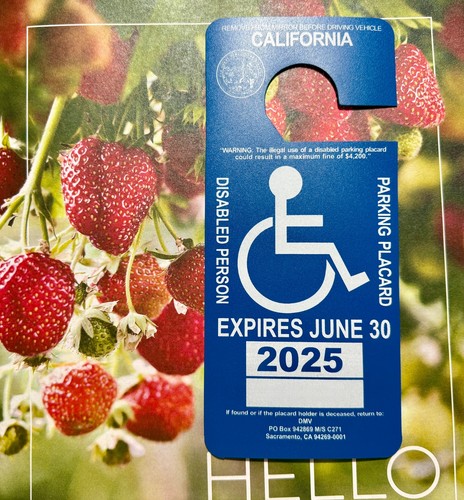 Novelty Item... Parking Permit Handicap Disabled Placard