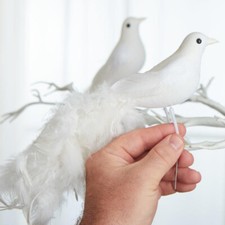 Pack of 6 White Feathered Long Tail 11" Artificial Birds