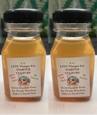 8oz Mature Vinegar Eels - live food for betta & other small fry / nano fish