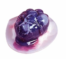 Fun World Human Heart Shaped Gelatin Mold Halloween Party Food Candy Decoration