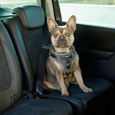 Barre pare-chien pour voiture Kerbl